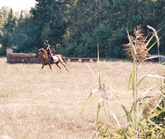 Photo de profil de laura84cct