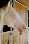 Photo de profil de lauraclemence
