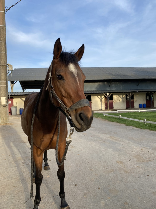 Photo de profil de laurag18