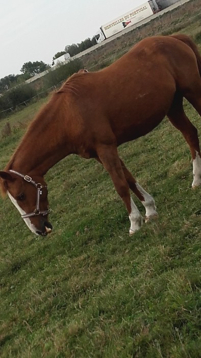 Photo de profil de laurailak