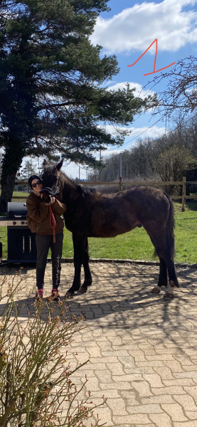 Photo de profil de laura_pastel