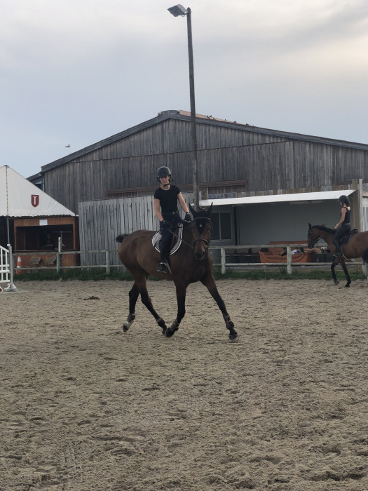 Photo de profil de lauraplgr