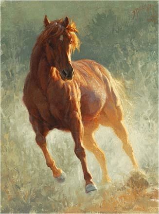 Photo de profil de laura.poulverel