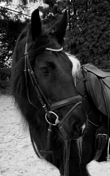 Photo de profil de lauravendromy