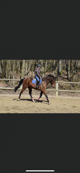 Photo de profil de laure123