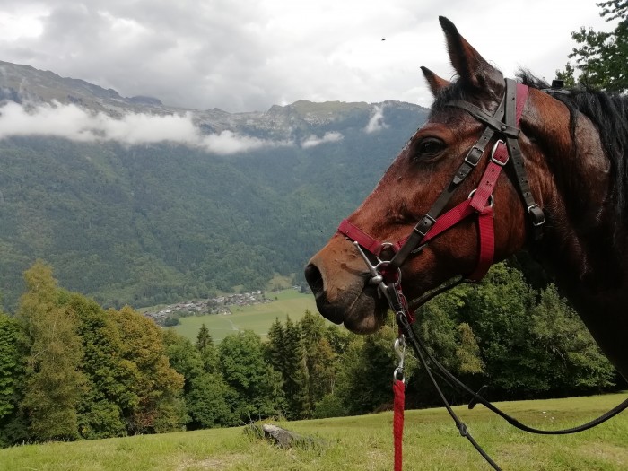 Photo de profil de laure29