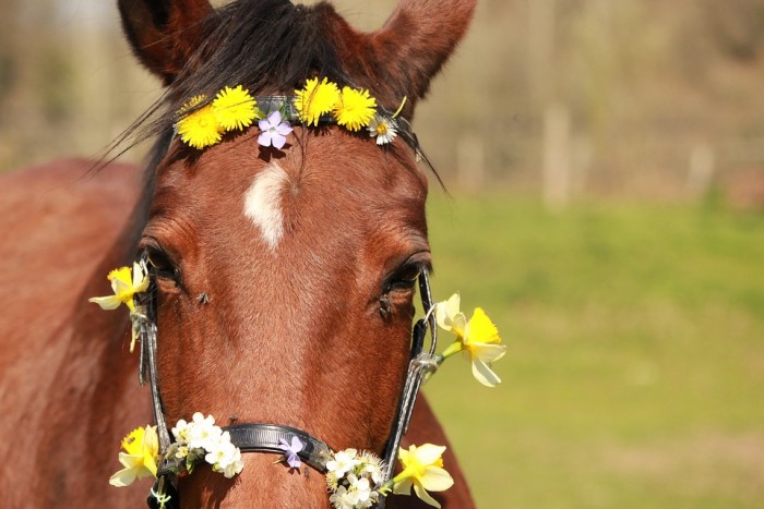 Photo de profil de laurette56