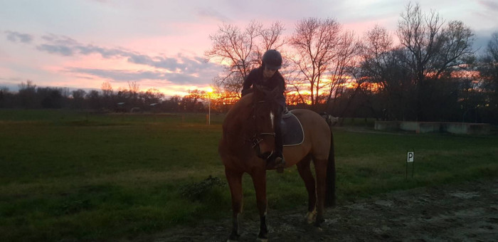 Photo de profil de laurine3102