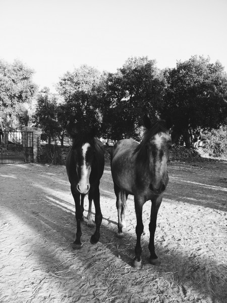 Photo de profil de laurinealf