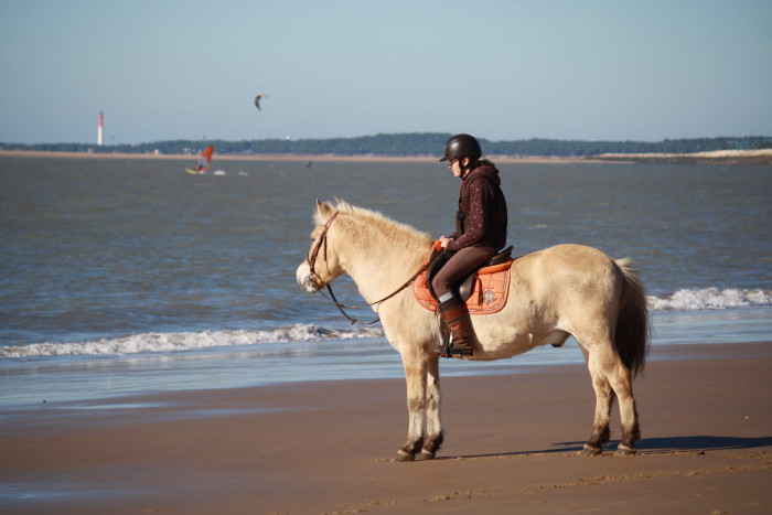 Photo de profil de laury.tex