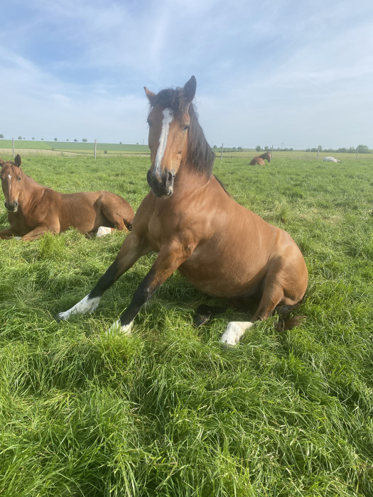 Photo de profil de ldem