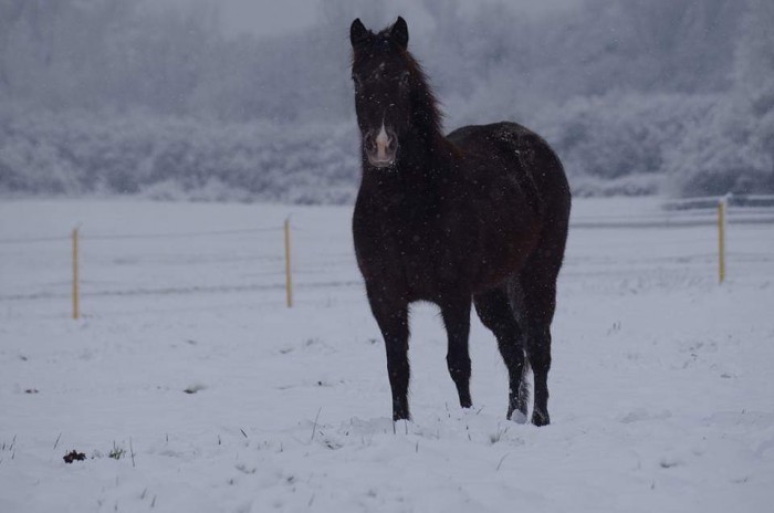 Photo de profil de lea1310