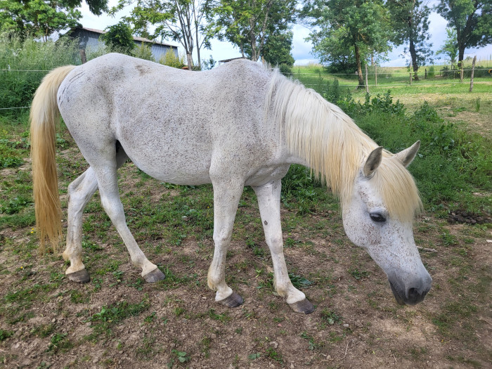 Photo de profil de lea1992