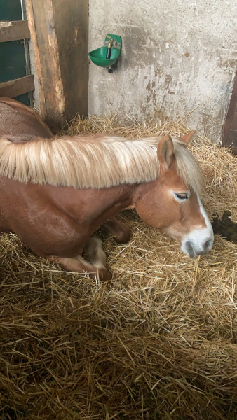 Photo de profil de lea232