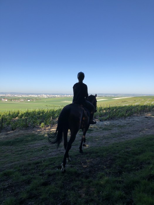 Photo de profil de lea_51