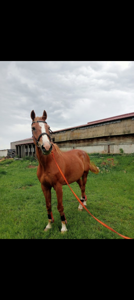 Photo de profil de leabeaune