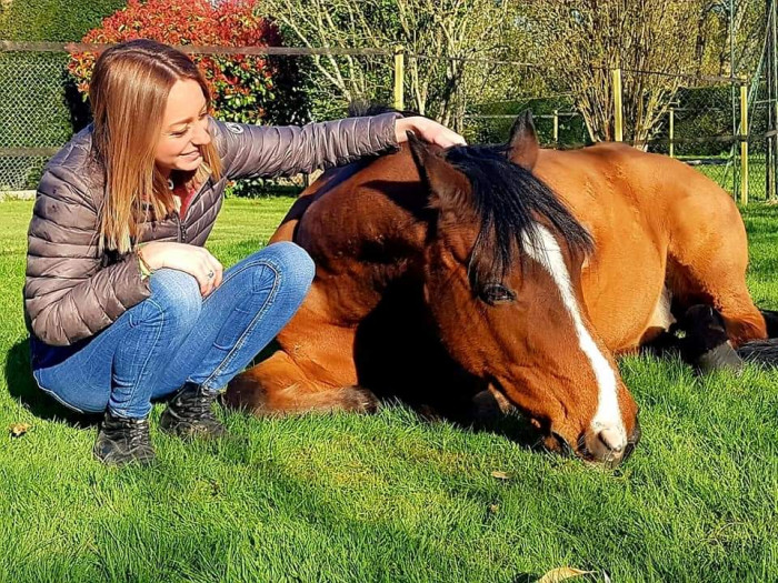 Photo de profil de leacql