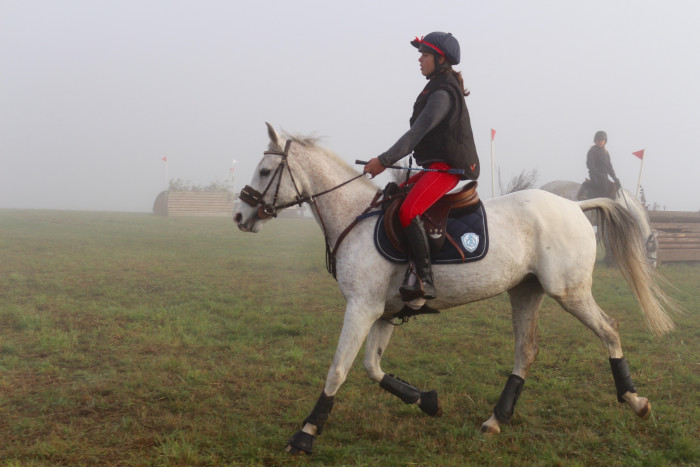 Photo de profil de leafal