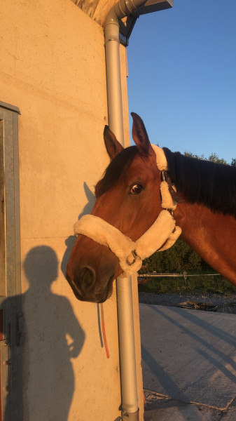 Photo de profil de leakremer57