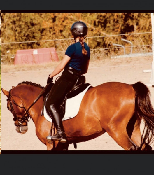 Photo de profil de lealafleur07