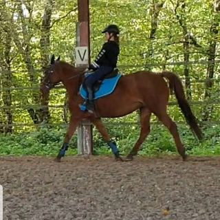 Photo de profil de lea_lag37