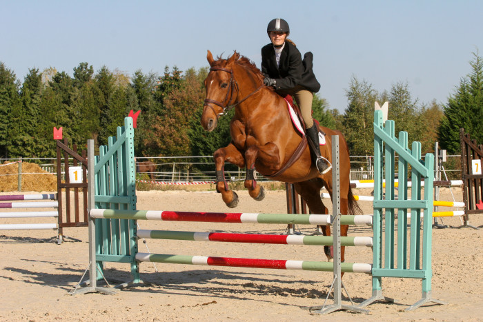 Photo de profil de lealbzc