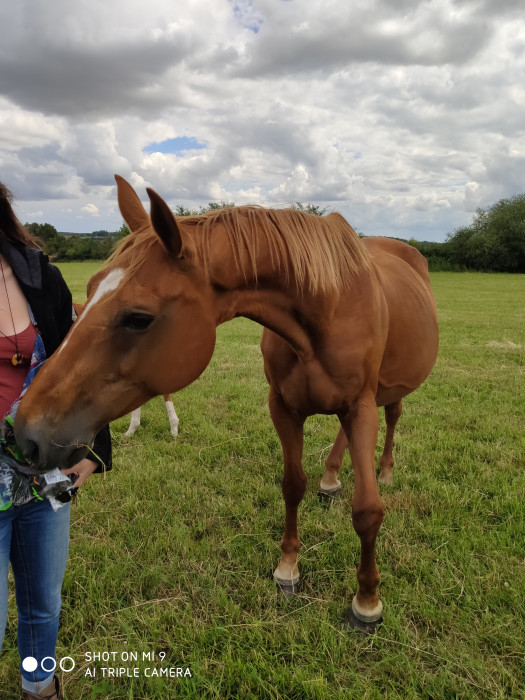 Photo de profil de leaviva