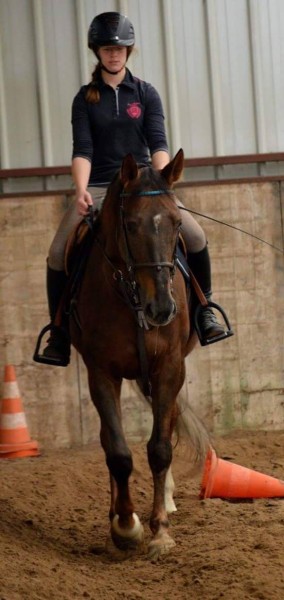 Photo de profil de lea.vrneau