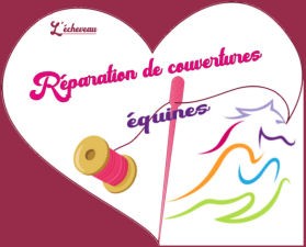 Photo de profil de lecheveau