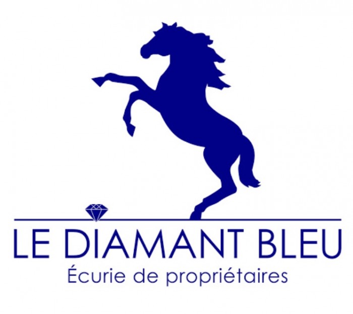 Photo de profil de lediamantbleu