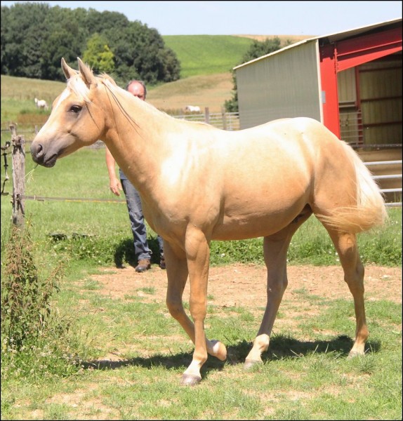 Photo de profil de ledran