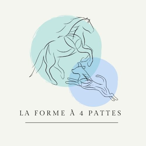 Photo de profil de leformea4pattes