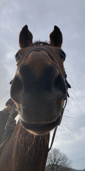 Photo de profil de lelexa