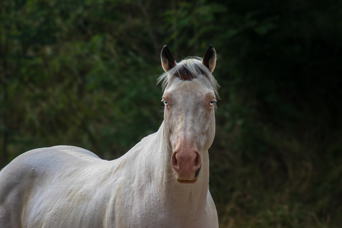 Photo de profil de lem02
