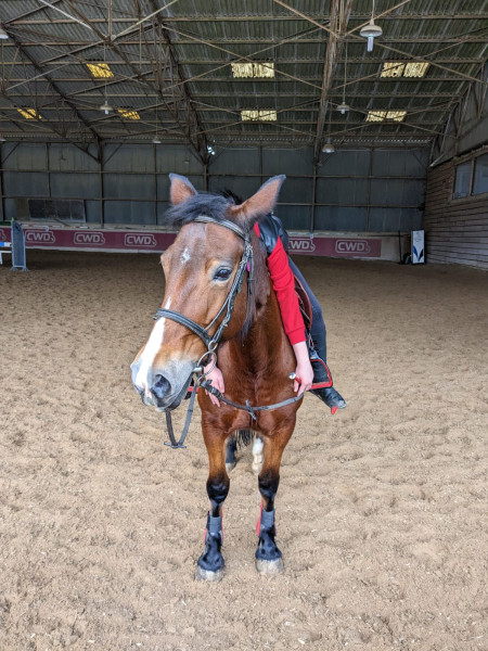 Photo de profil de lena_eurano