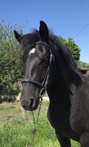 Photo de profil de leonidas41