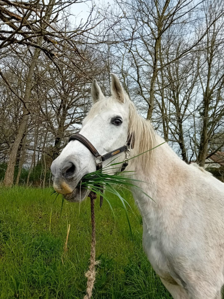 Photo de profil de leonie1101
