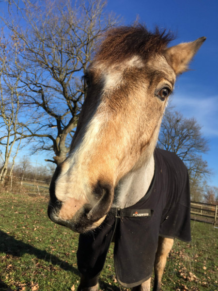 Photo de profil de leosjump