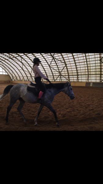 Photo de profil de les_cavalieres