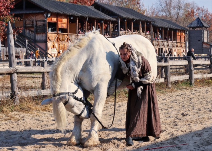 Photo de profil de lexandrin