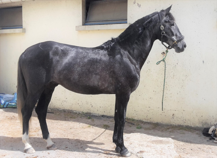 Photo de profil de lfkamos