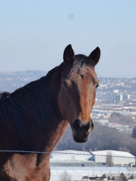 Photo de profil de liberta2003