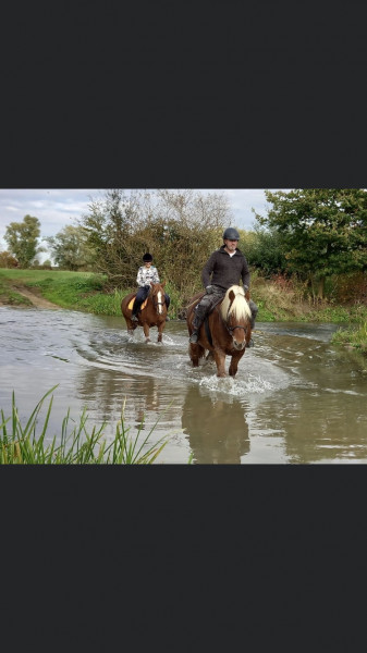 Photo de profil de licorne573