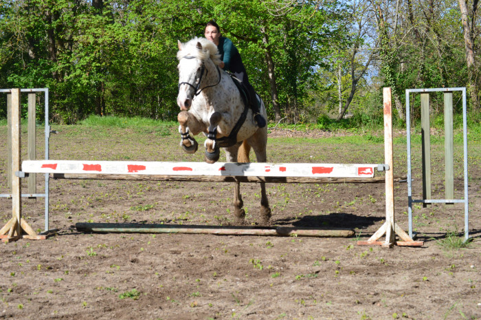 Photo de profil de licornemagic03