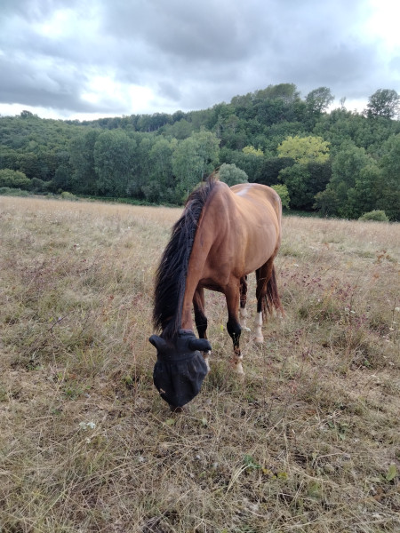 Photo de profil de lilas.124