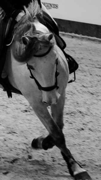 Photo de profil de lilidu69