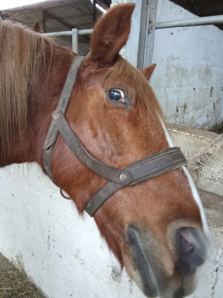 Photo de profil de lilifleuf