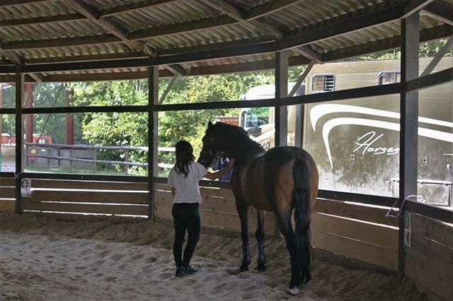 Photo de profil de lili.horse