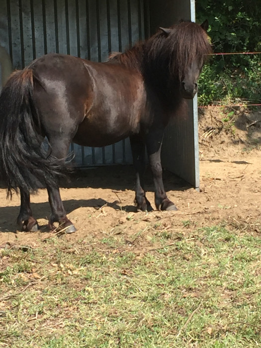 Photo de profil de lilihousto29