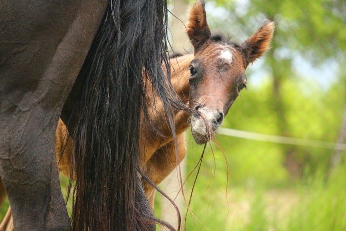 Photo de profil de lilipili